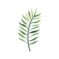 branch with leafs nature isolated icon vector