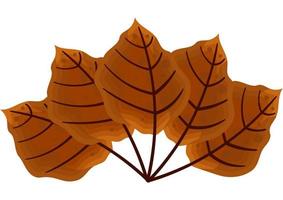 illustration of brown leaves with autumn theme 2 vector