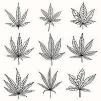 simplicity cannabis leaf freehand drawing flat design. vector