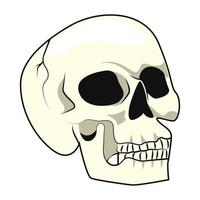 skull head wild style vector