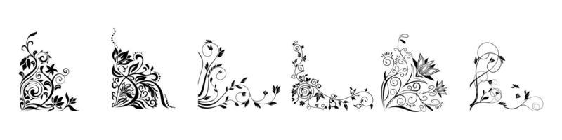 Flourish design elements