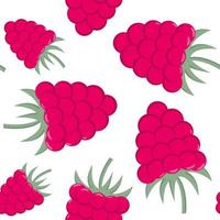 Raspberry seamless pattern Background with bright garden berries vector