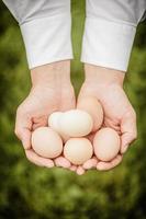 huevos en las manos