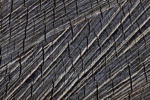macro textura de madera aserrada y seca con detalles