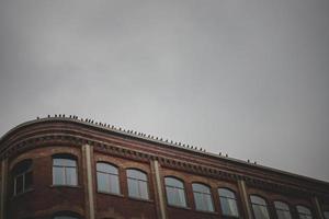 Line of Pigeons Abstract Silhouette Line on Old Brick Building Roof with Sky in Background photo