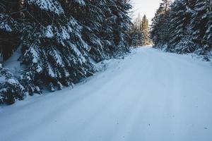 Carretera cerrada en el bosque debido a las fuertes nevadas.