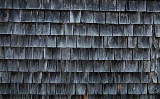 Texture of wooden boards photo