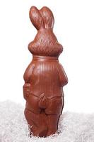 parte posterior de un conejito de chocolate alto sobre blanco foto