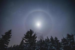 Moon Halo in Wild Forest during Winter