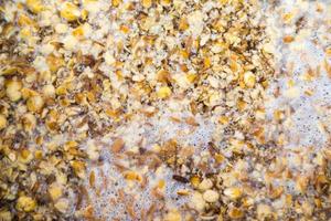 Mashing in a Stainless Kettle a Home Brew Cream Ale  with Crushed Barley and Corn photo