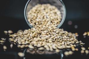 Cup of Malted Barley Beer Grain Texture in Studio. photo