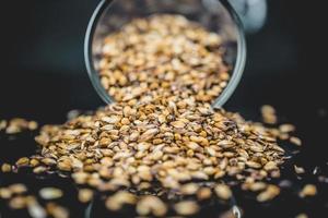 Cup of Malted Barley Beer Grain Texture in Studio. photo