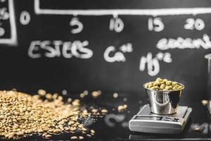 Beer Science. Black Board with Graph, Data and Specs, Hops, Grains and Scale for the Production Process photo