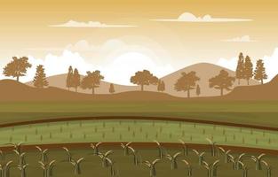 Sunrise Asian Paddy Rice Field Agriculture Nature View Illustration vector