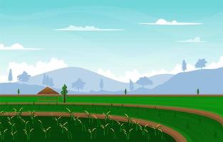 Bali Terraced Paddy Rice Field Agriculture Nature View Illustration vector