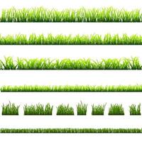 Collection of different types of green grass vector