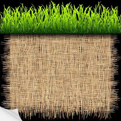 Eco background with green grass