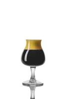 Aged Dark Beer in Tasting Glass Isolated on White photo