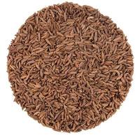 Caraway Seeds on white photo