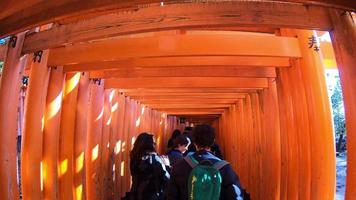 Timelapse Red Tori Gates in Fushimi Inari Temple in Kyoto, Japan video