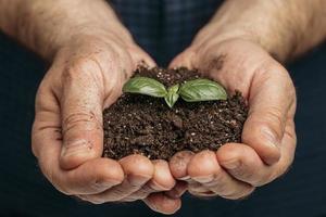 front view male hands holding soil growing plant photo