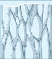 Ice wall texture background vector