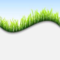 Fresh background with grass vector