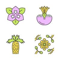 Desert plants color icons set. Exotic flora. Bougainvillea flower, living stone, California fan palm, larrea. Dry places plants. Isolated vector illustrations