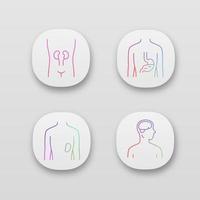 Healthy human organs app icons set. Kidney and spleen in good health. Functioning stomach. Wholesome brain. UI UX user interface. Web or mobile applications. Vector isolated illustrations