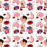 Human body parts anatomy seamless background vector