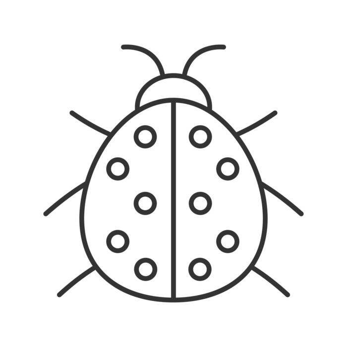 Ladybug Outline Vector Art, Icons, and Graphics for Free Download