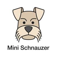 Icono de color de Schnauzer miniatura. zwergschnauzer. ilustración vectorial aislada vector