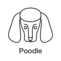 Poodle linear icon. Thin line illustration. Dog breed. Contour symbol. Vector isolated outline drawing