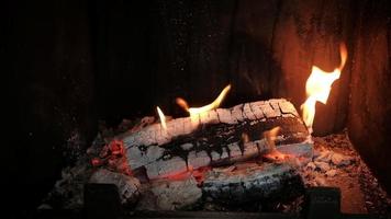 Firewood burning in fireplace video