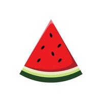 Watermelon fruit vector design on white background