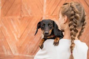 Young woman with plaited hair holding her pet dachshund in her arms outdoors photo