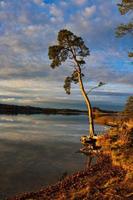 Romantic photo of a lake with perfect sun reflections on the water