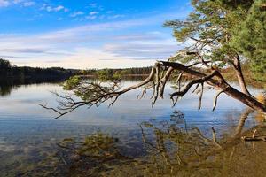 Romantic photo of a lake with perfect sun reflections on the water