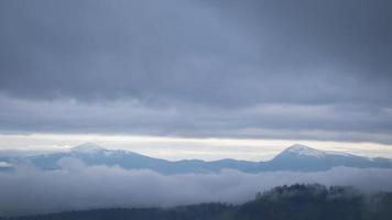 Misty foggy mountain landscape with fir forest and copyspace photo