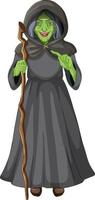 Wicked old witch character on white background vector