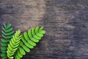 Creative 3 green tamarind leaves lay down on old wooden table for copy space background and texture concept. photo