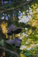 Shoes hanging on line photo