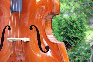 Upright bass by fence photo