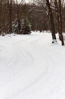 Winding snowy forest trail photo