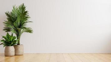 White wall empty room with plants on a floor. photo