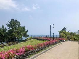 callejón con flores en el parque. isla de jeju, corea del sur foto