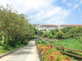 Beautiful summer park with palm trees and buildings on the background. Jeju island, South Korea photo