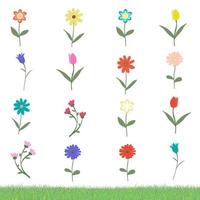 conjunto de muchas flores de variación aisladas sobre fondo blanco con ilustración de vector de muestra de hierba. flores lindas y felices, dibujadas a mano con amor.