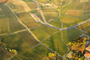 vista aérea de los viñedos de la región montañosa de langhe, piamonte, norte de italia, temporada de otoño. sitio de la unesco desde 2014. foto