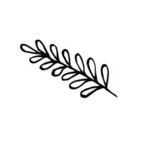 Sketch tropical leaf. Doodle outline jungle plant vector